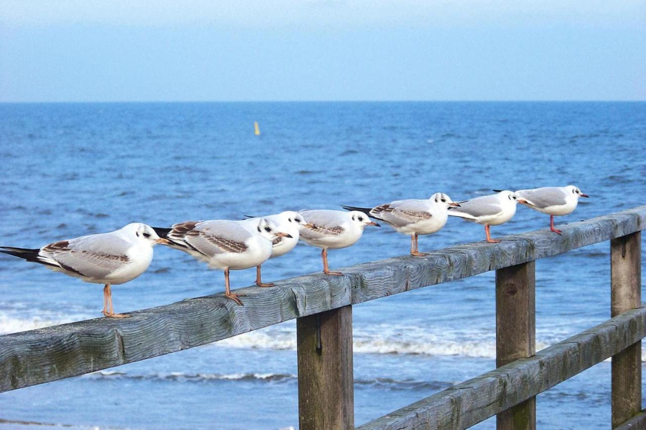Ferienwohnung Strandidyll, Trassenheide Exteriér fotografie